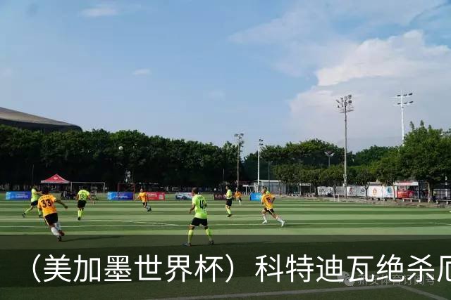 （美加墨世界杯）科特迪瓦绝杀厄瓜多尔 瑞典5:1大胜突尼斯