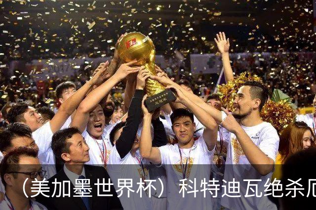 （美加墨世界杯）科特迪瓦绝杀厄瓜多尔 瑞典5:1大胜突尼斯